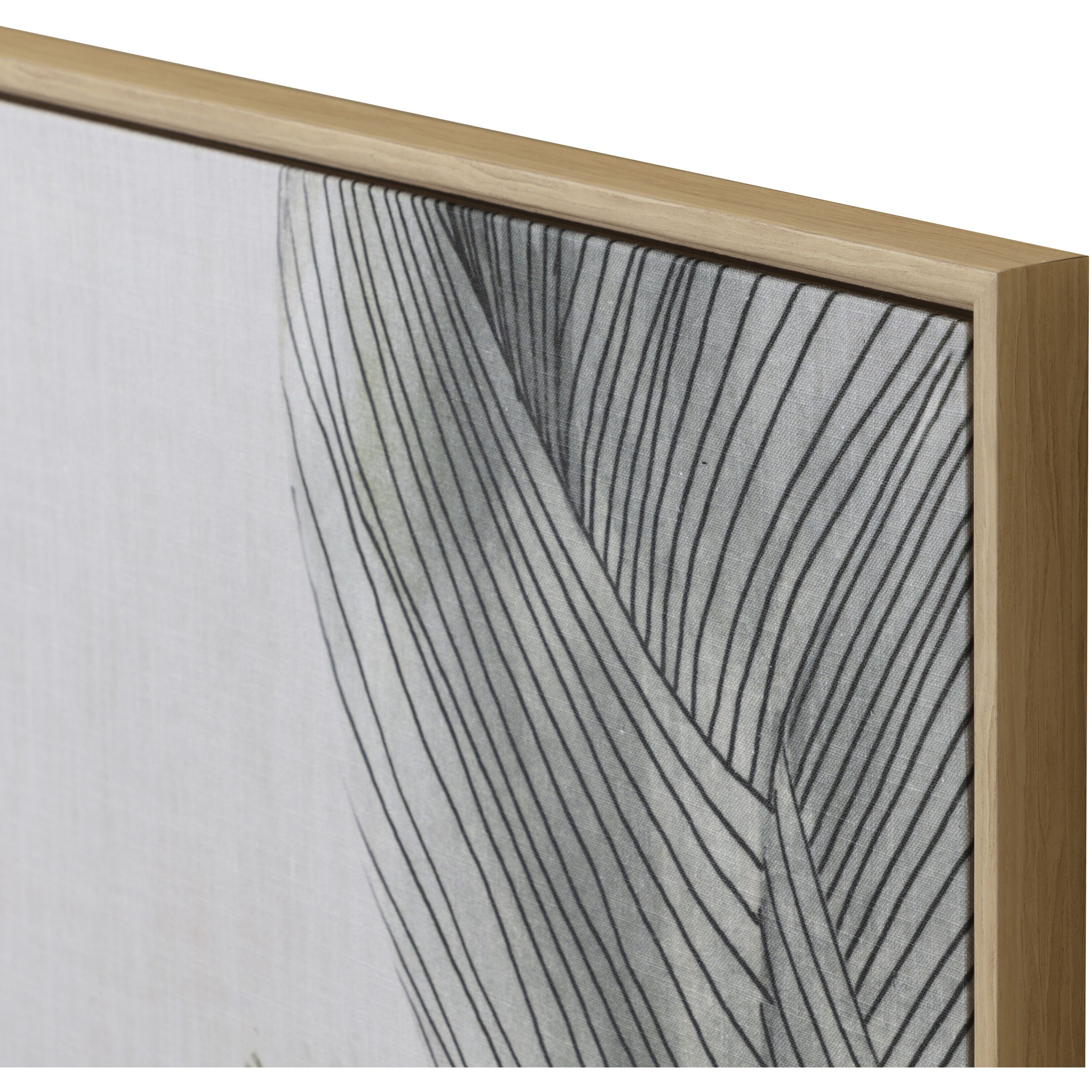 Bloom And Flow Natural Floater Frame Wall Art, Abstract